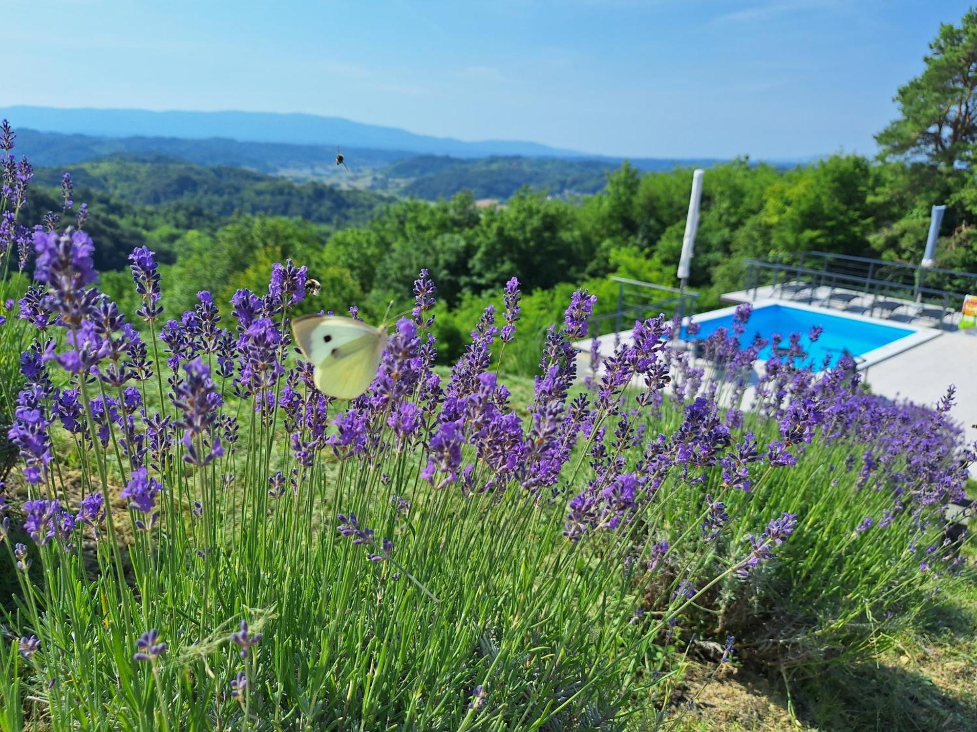 Villa Kuca Za Odmor Freya Krapinske Toplice Exterior foto
