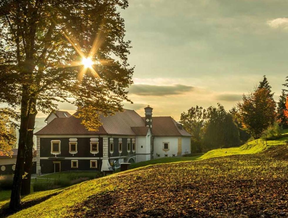 Villa Kuca Za Odmor Freya Krapinske Toplice Exterior foto